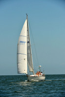 2015 Southern Bay Race Week C 1481