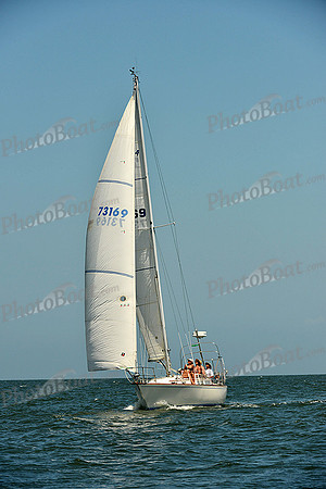 2015 Southern Bay Race Week C 1481