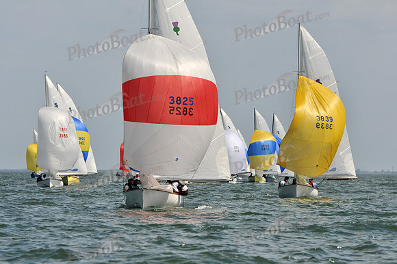 2012 Thistle Midwinters B 1382