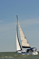 2014 Southern Bay Race Week D 441