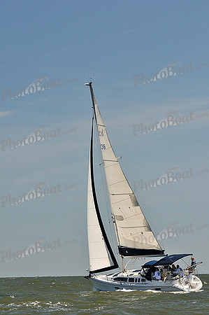 2014 Southern Bay Race Week D 441
