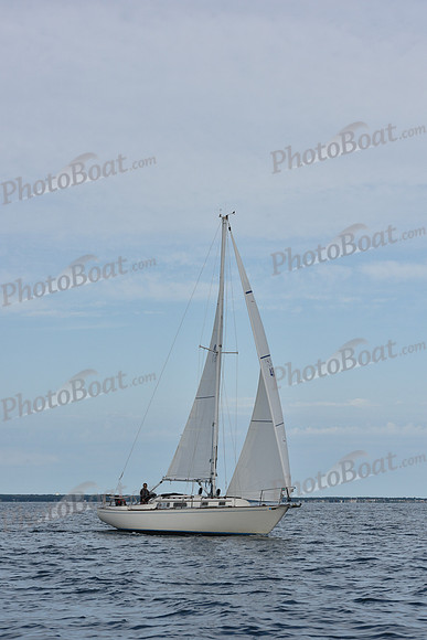 2019 Around Marthas Vineyard A_0152