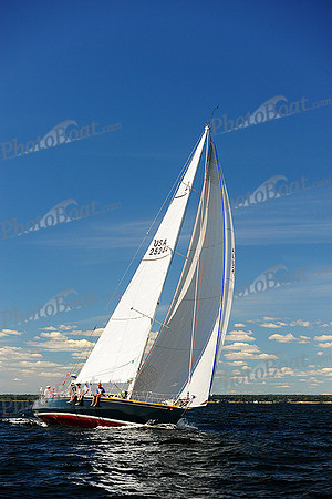 2014 Vineyard Race A 1607
