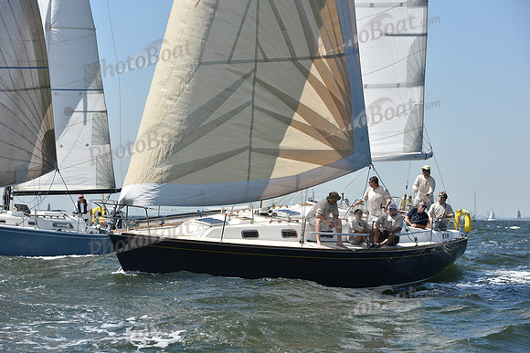 2019 Vineyard Race A_0242