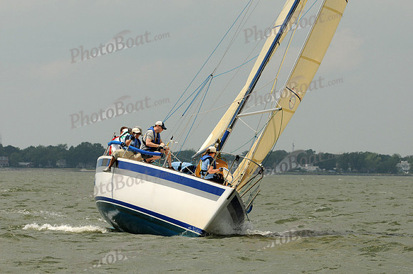 2012 Southern Bay Race Week A 2984