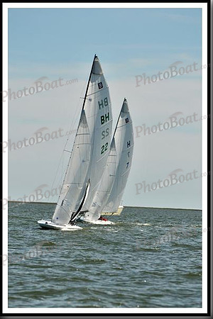 proof_2010_EScows_E 1249
