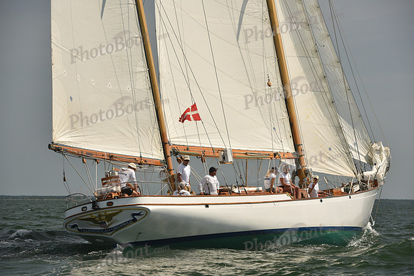 2018 Vineyard Cup A_0328