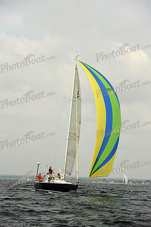 2013 Vineyard Race A 298
