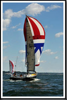 proof_2010_Vineyard_Race_0350
