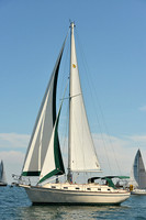 2015 Cape Charles Cup C 249