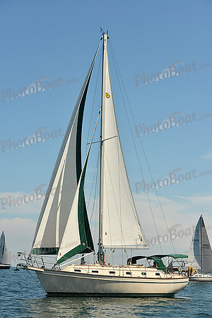 2015 Cape Charles Cup C 249