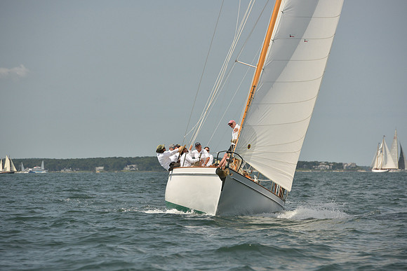 2018 Vineyard Cup A_0337