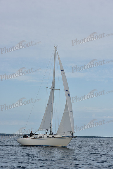 2019 Around Marthas Vineyard A_0154