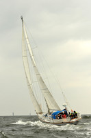 2015 Vineyard Race A 113