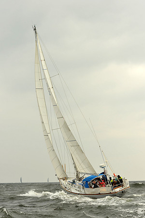 2015 Vineyard Race A 113