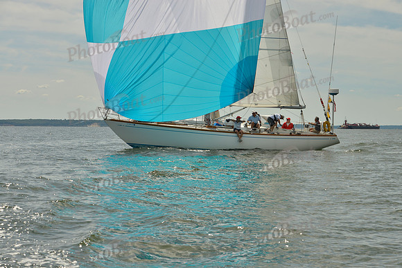 2016 Vineyard Race A_1029