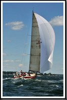 proof_2010_Vineyard_Race_0850