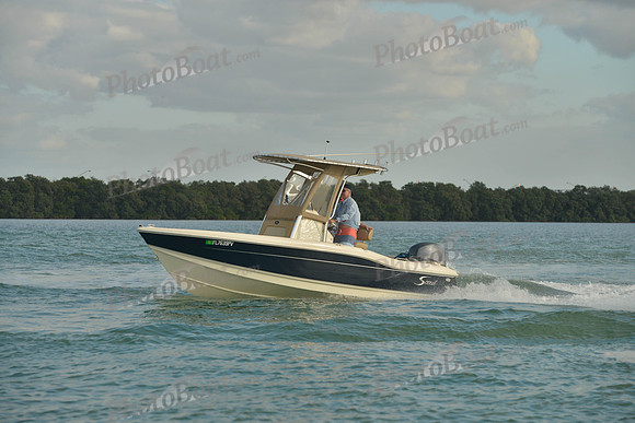 2019 Feb 10 Tampa Bay B_0881