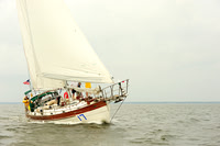 2014 Gov Cup A 1169