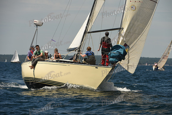 2016 Chester Race Week A_0522