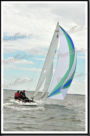 proof_2010_EScows_A 259