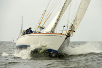 2015 Vineyard Race A 104