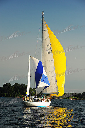 2015 Gov Cup D 236