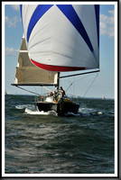 proof_2010_Vineyard_Race_0337