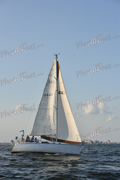 2019 ALIR_2408