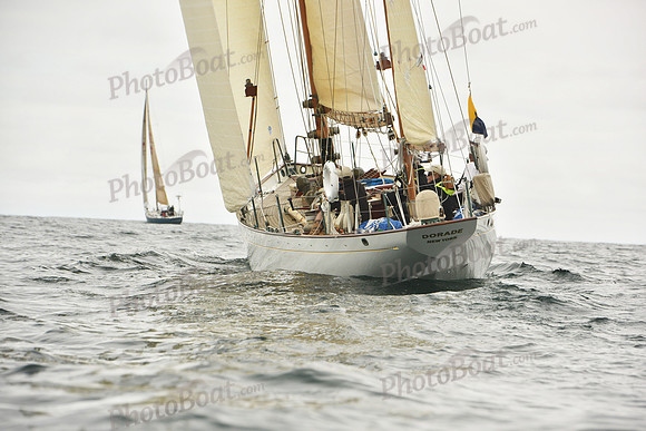 2018 Newport Bermuda Race A_0636