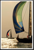 proof_2010 Gov Cup B 335