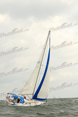 2012 Cape Charles Cup A 536