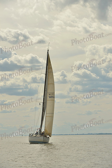 2016 Vineyard Race A_1794