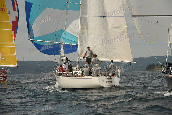 2016 Chester Race Week C_1546