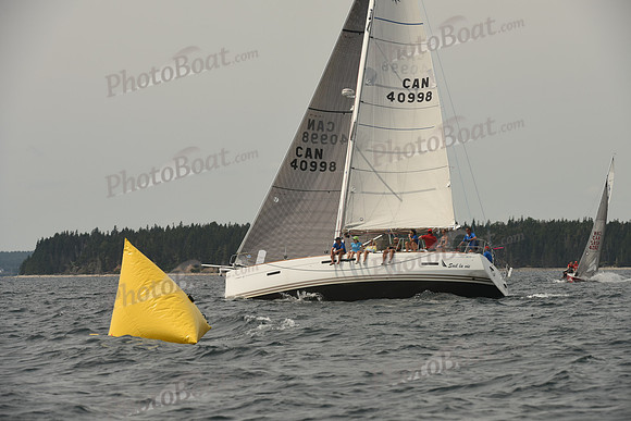 2016 Chester Race Week C_0898