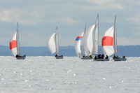 2012 Sonar LIS Champs B 252
