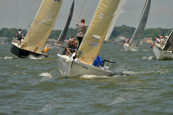 2016 Southern Bay Race Week F_1181