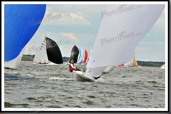 proof_2010_EScows_B 478