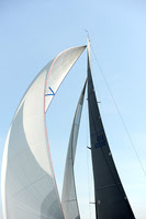 2013 Vineyard Race A 1738