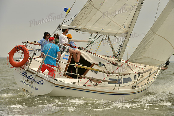 2016 Southern Bay Race Week A_0914