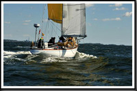 proof_2010_Vineyard_Race_0477