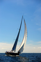 2014 Vineyard Race A 1886
