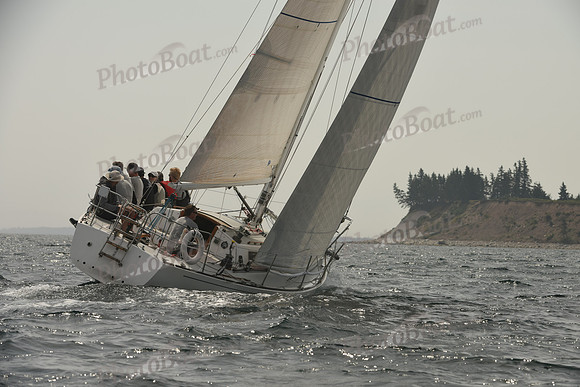 2016 Chester Race Week C_0362
