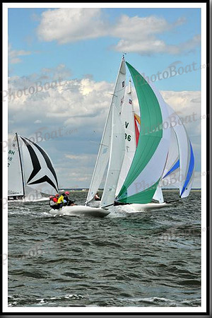 proof_2010_EScows_B 1196