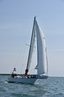 2019 Figawi_0237