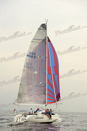 2013 Vineyard Race A 221