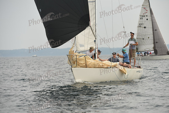 2016 Chester Race Week D_0242