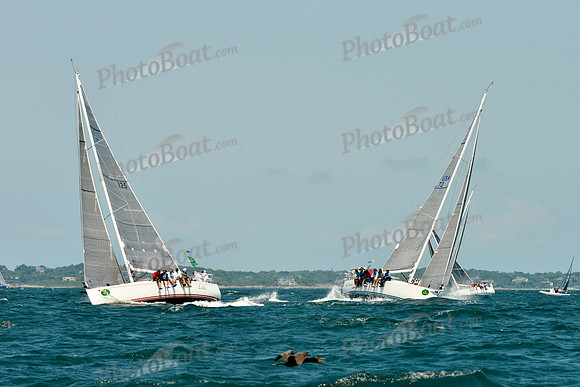 2016 NYYC Race Week A 208