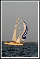 Elan