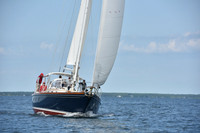 2019 Around Marthas Vineyard A_1406